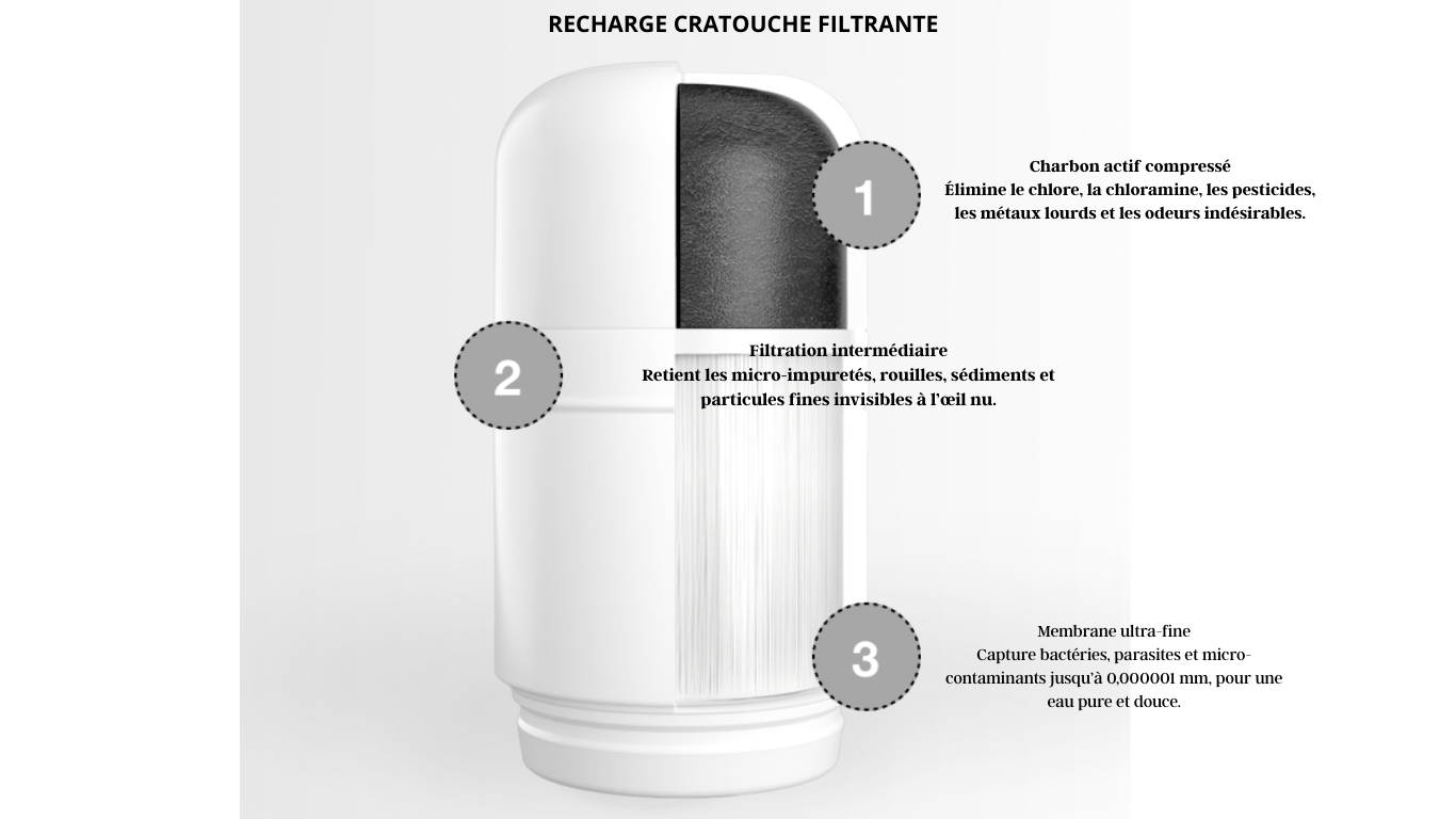 eloriya recharge charbon actif